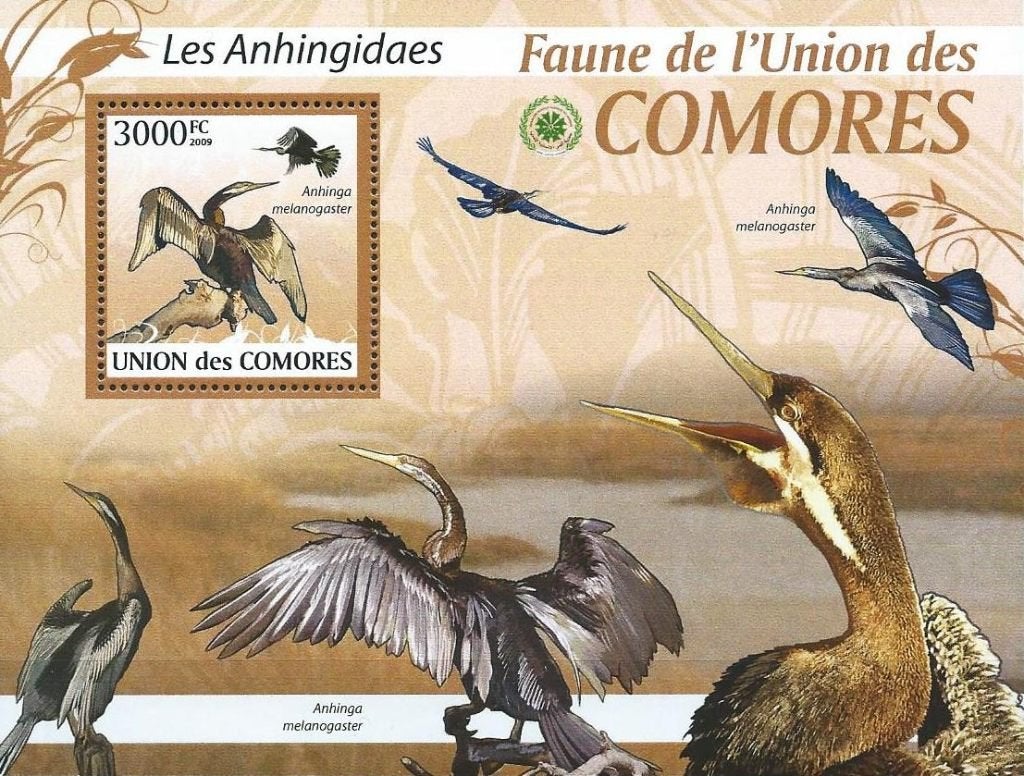 Vogels - Comoren - Mi blok 518 - Postfris, Ophalen of Verzenden, Postfris, Dier of Natuur