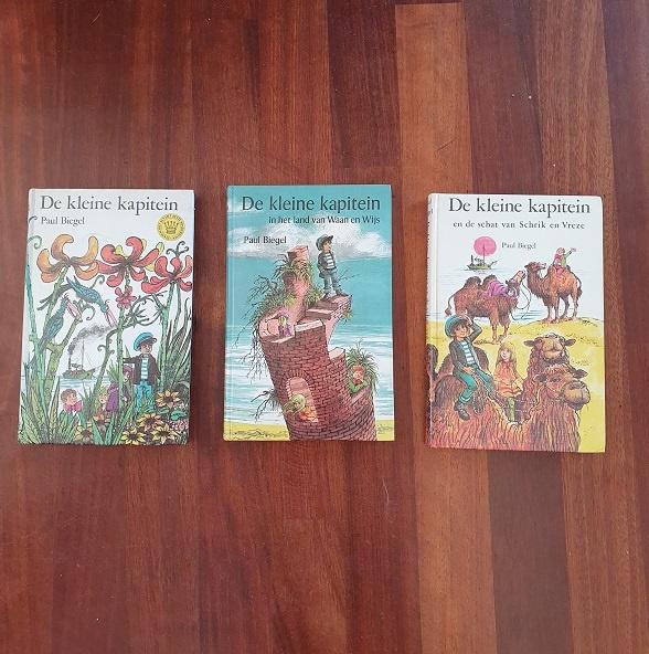 260 / DE KLEINE KAPITEIN van Paul Biegel, Boeken, Ophalen of Verzenden, Gelezen, Fictie algemeen