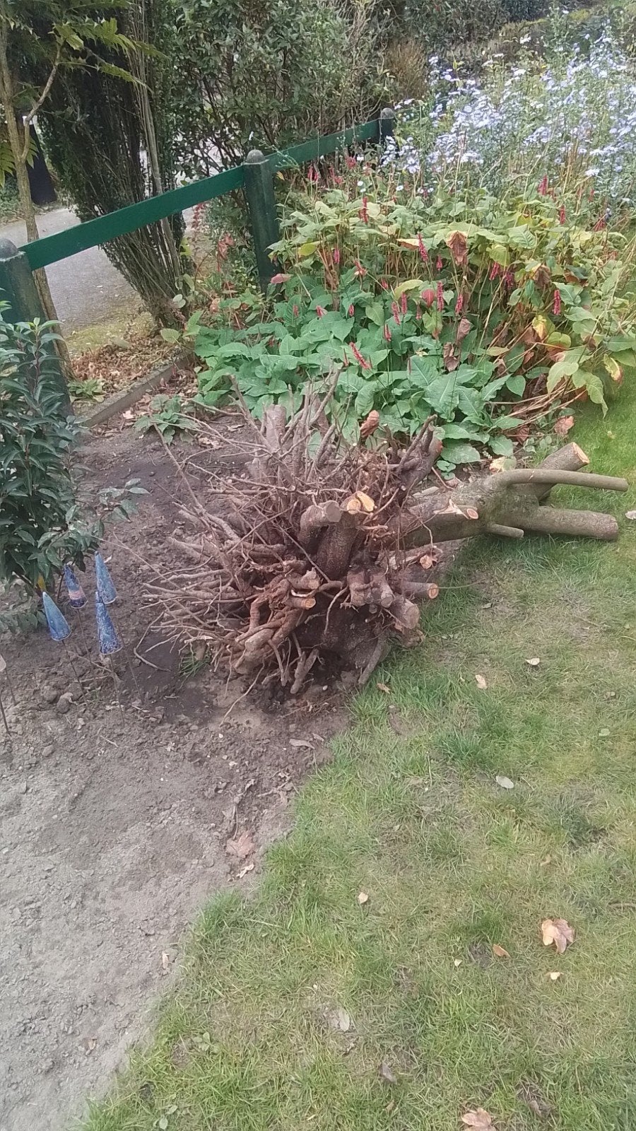 Boomstronken en takken voor brandhout of decoratie 4 stuks, Ophalen, Gebruikt