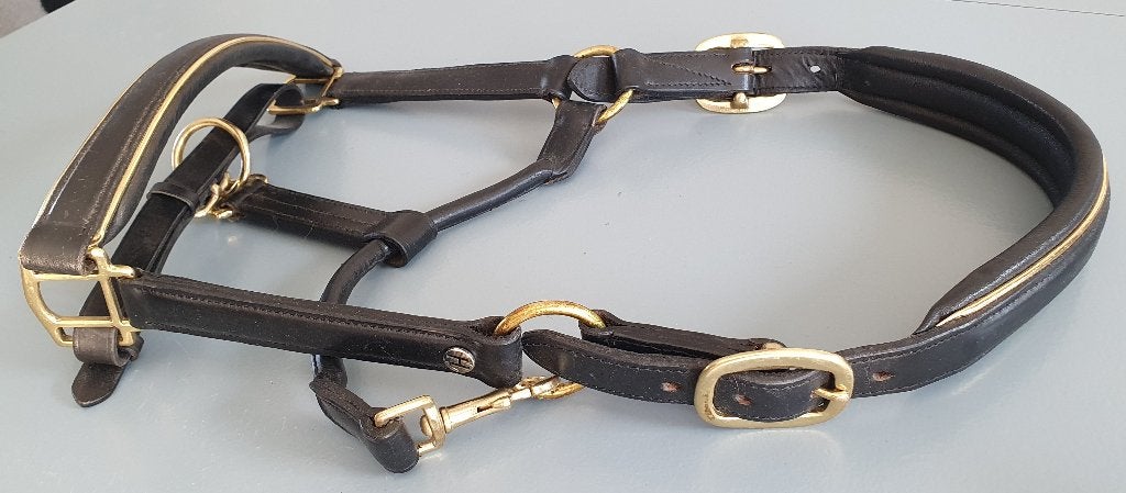 Kort gebruikt leren halster, maat cob, Dieren en Toebehoren, Paarden en Pony's | Hoofdstellen en Tuigage, Gebruikt, Ophalen of Verzenden