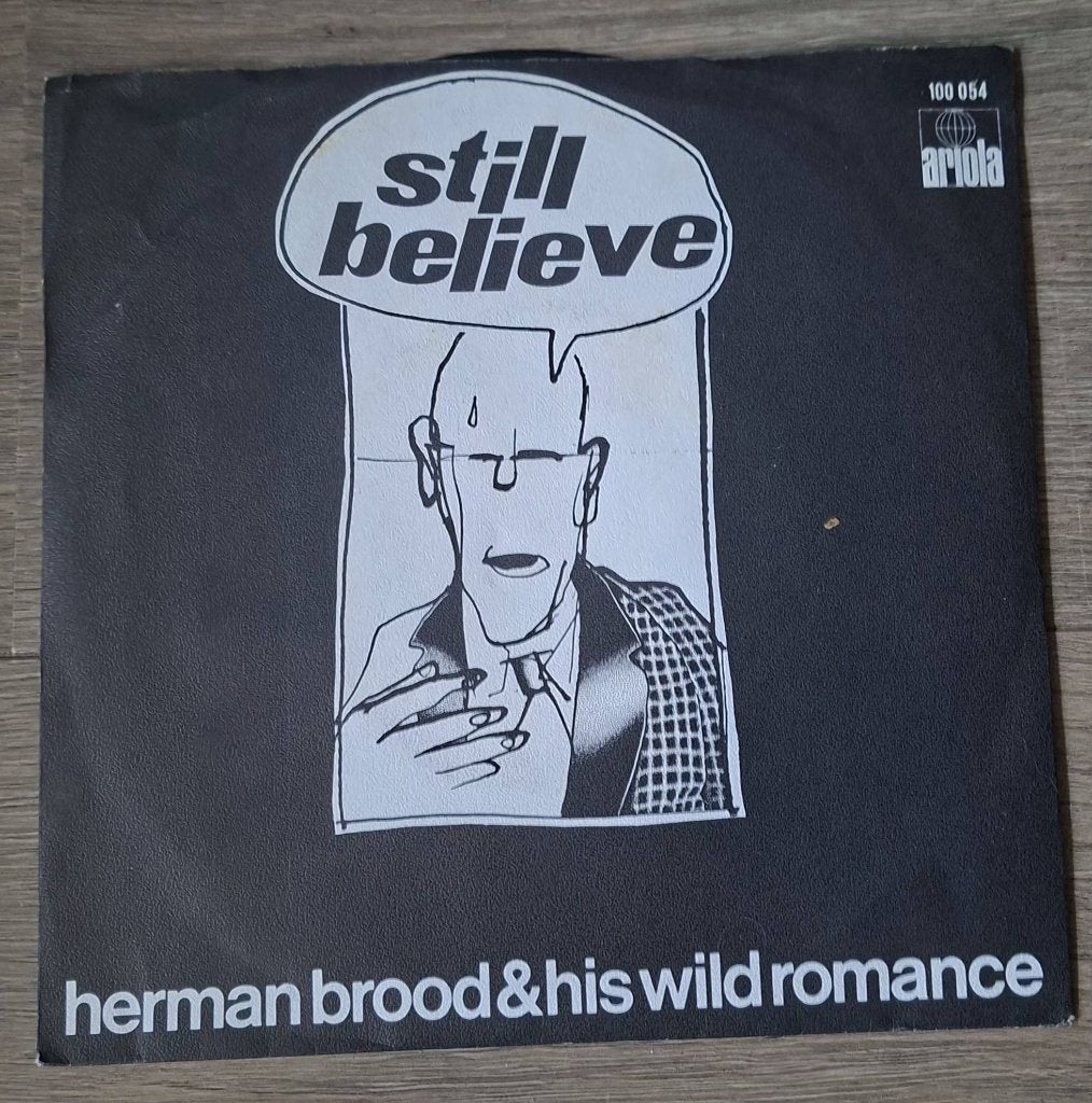 Herman Brood, Cd's en Dvd's, Ophalen of Verzenden, Zo goed als nieuw, Pop