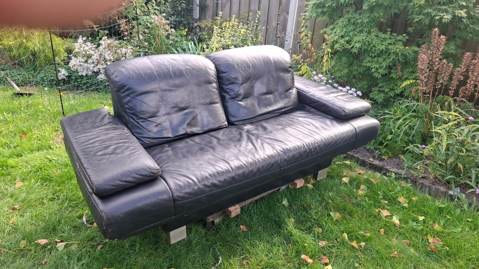 rolf benz 2,5 zits, Ophalen, Gebruikt, 150 tot 200 cm, Tweepersoons