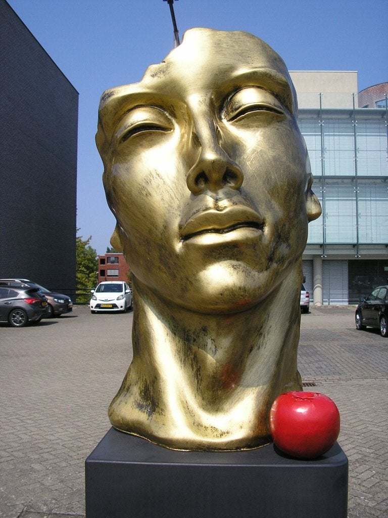 BEELD HET GEZICHT THE FACE XL 50 CM, Ophalen