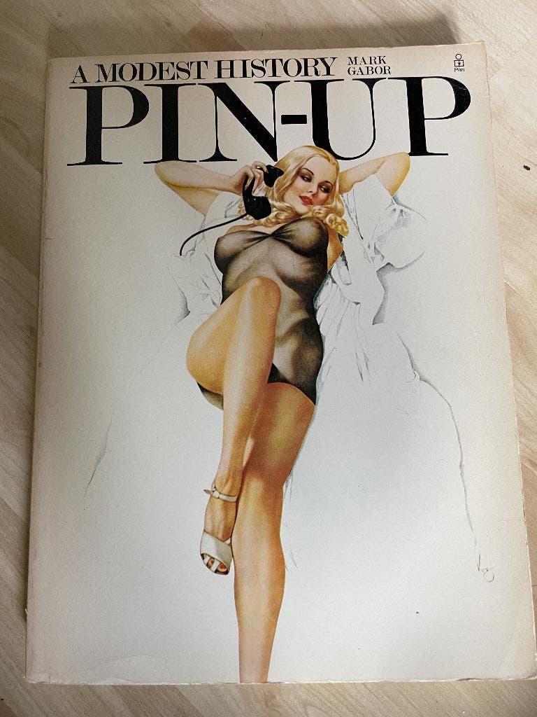 13 Pin up boeken + 1 Dream Girls F1, Boeken, Ophalen, Zo goed als nieuw, Overige onderwerpen, Diverse auteurs
