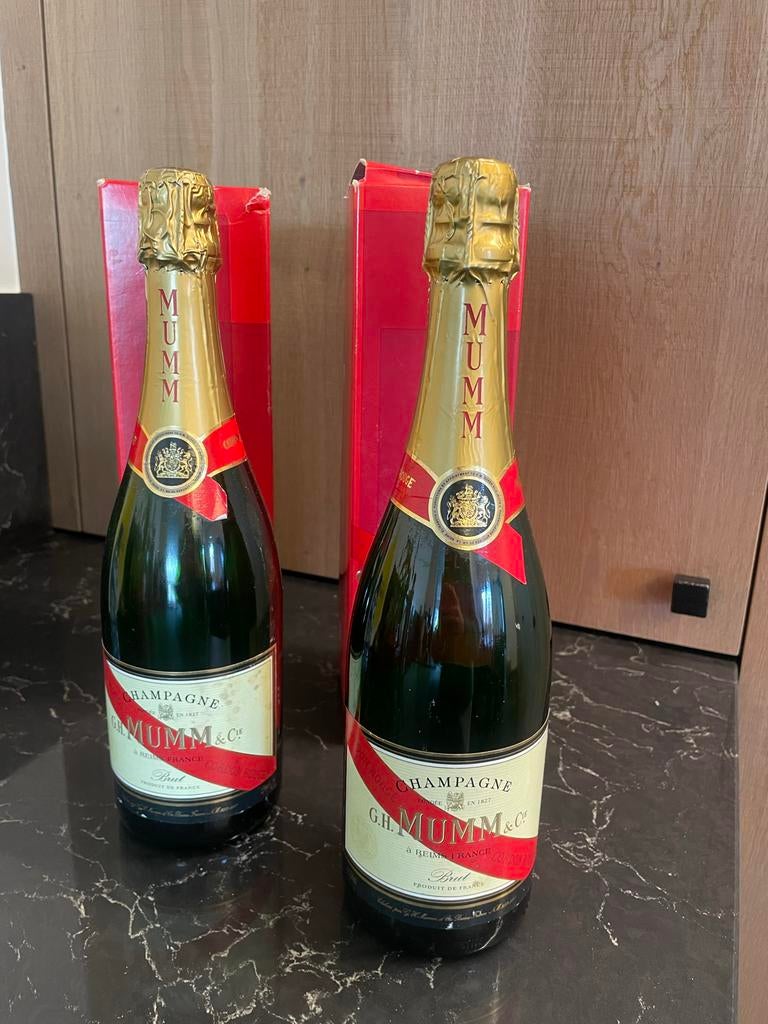 2 Factice Dummy Flessen Mumm Champagne Decoratie, Verzamelen, Ophalen, Gebruikt
