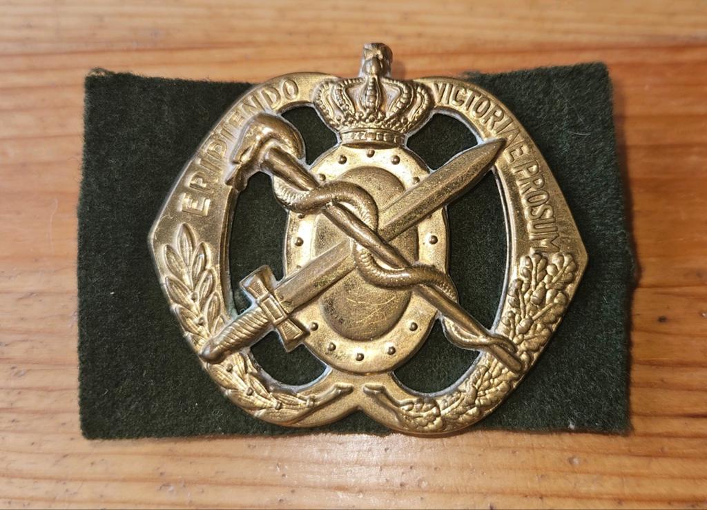 Baretembleem Geneeskundige Dienst, Ophalen of Verzenden, Landmacht, Nederland, Embleem of Badge