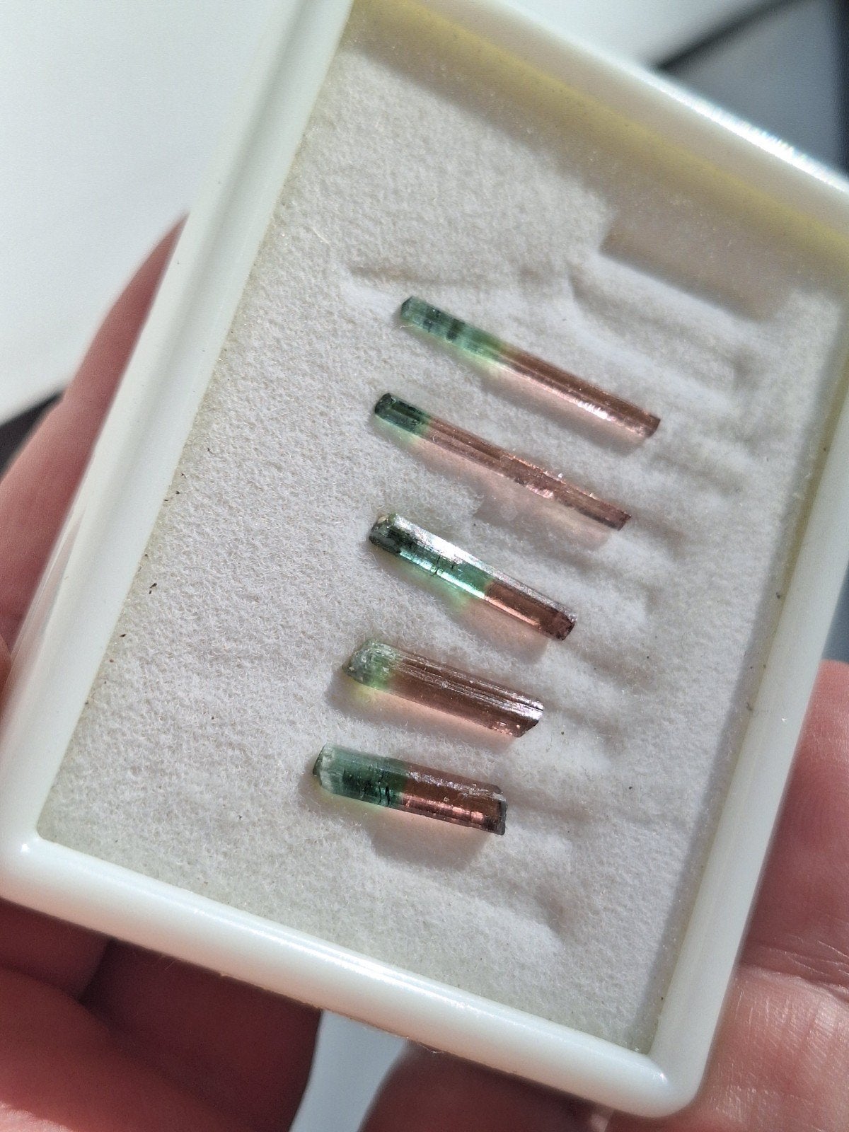 5x BI-COLOR TOURMALINE, Ophalen of Verzenden, Mineraal