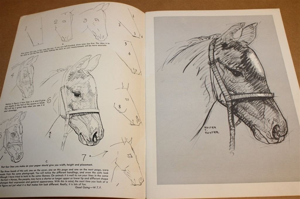 How to Draw Horses — Vintage Tekenboek Walter Foster 1950, Ophalen of Verzenden, Gelezen, Tekenen en Schilderen