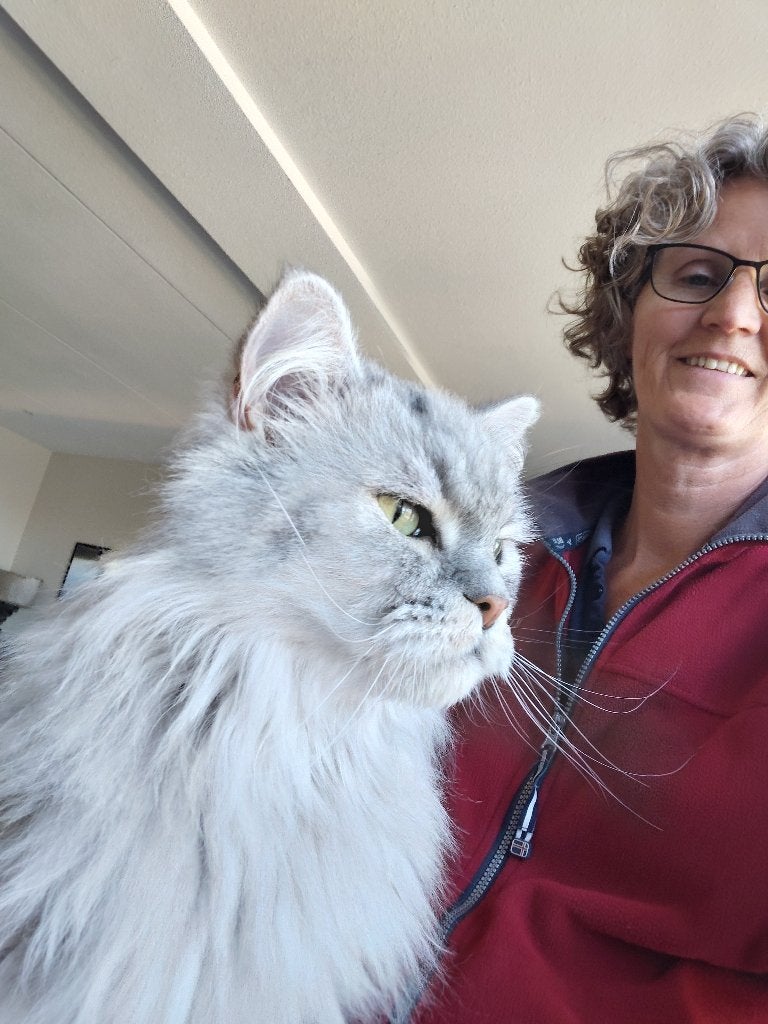 Kattenoppas aan huis Joure en Heerenveen e.o
