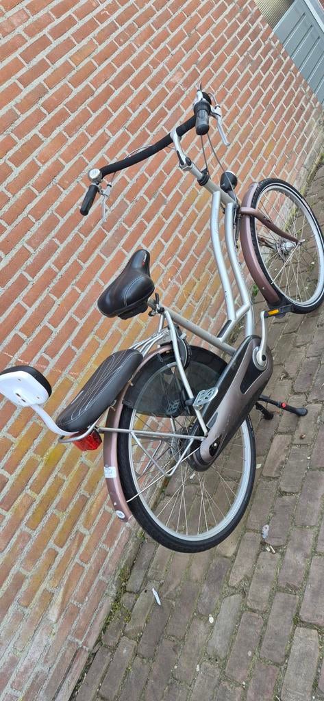 Moederfiets incl. zitjes, Ophalen, 2 zitjes, Gebruikt, Overige merken