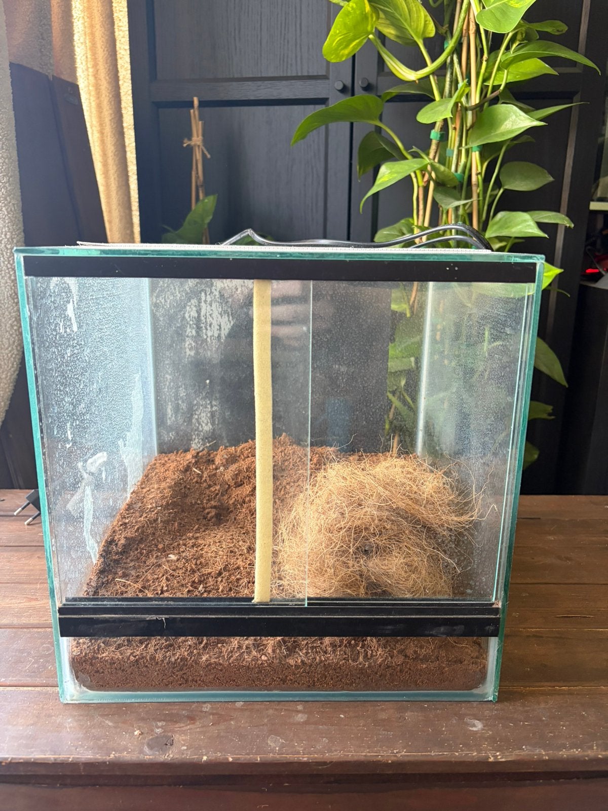 Glazen terrarium 30x30x30, Dieren en Toebehoren, Reptielen en Amfibieën | Toebehoren, Ophalen, Gebruikt