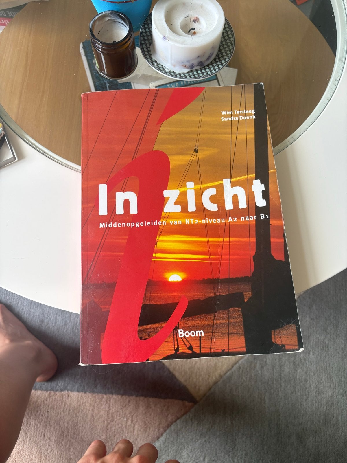 In zicht NT2-niveau A2 naar B1 - Wim Tersteeg, Boeken, Ophalen of Verzenden, Alpha, Gelezen, MBO