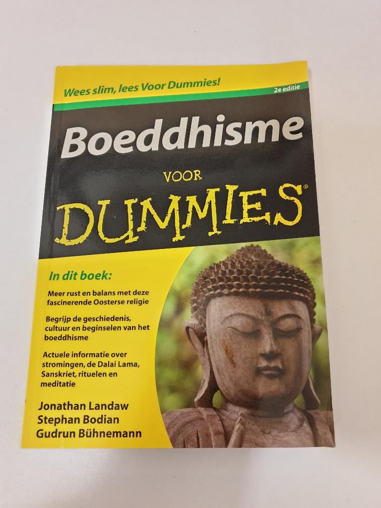 Boek - Boeddhisme voor Dummies - 2e Editie, Boeken, Ophalen of Verzenden, Gelezen, Boeddhisme