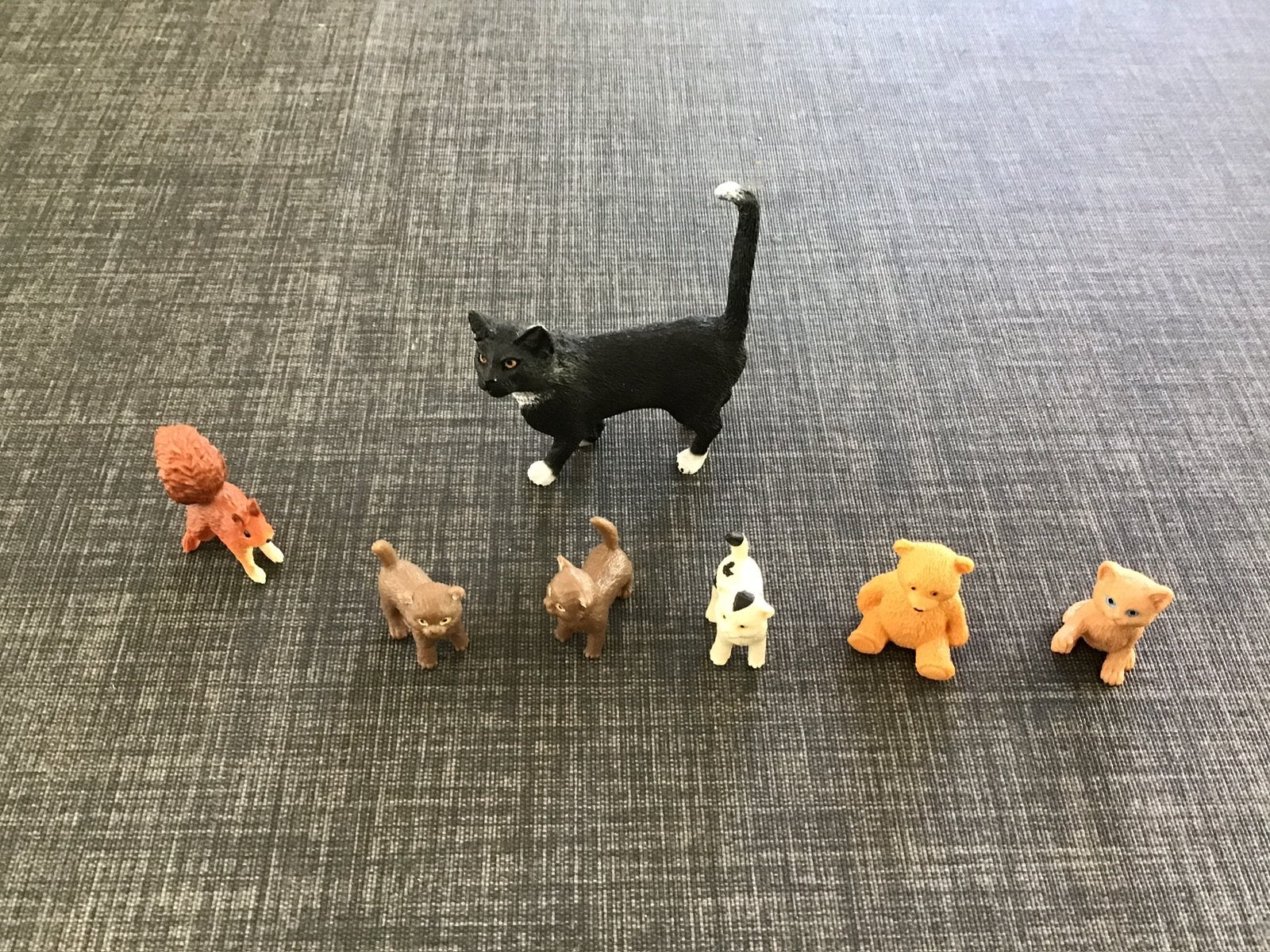 Schleich kat, kitten, beertje, eekhoorn Per stuk, Ophalen of Verzenden, Zo goed als nieuw, Jongen of Meisje