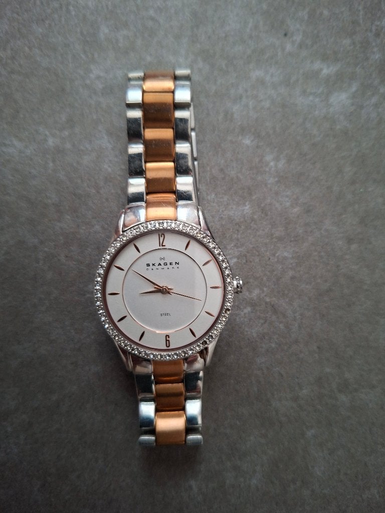 dames horloge Skagen, Overige merken, Staal, Staal, Verzenden