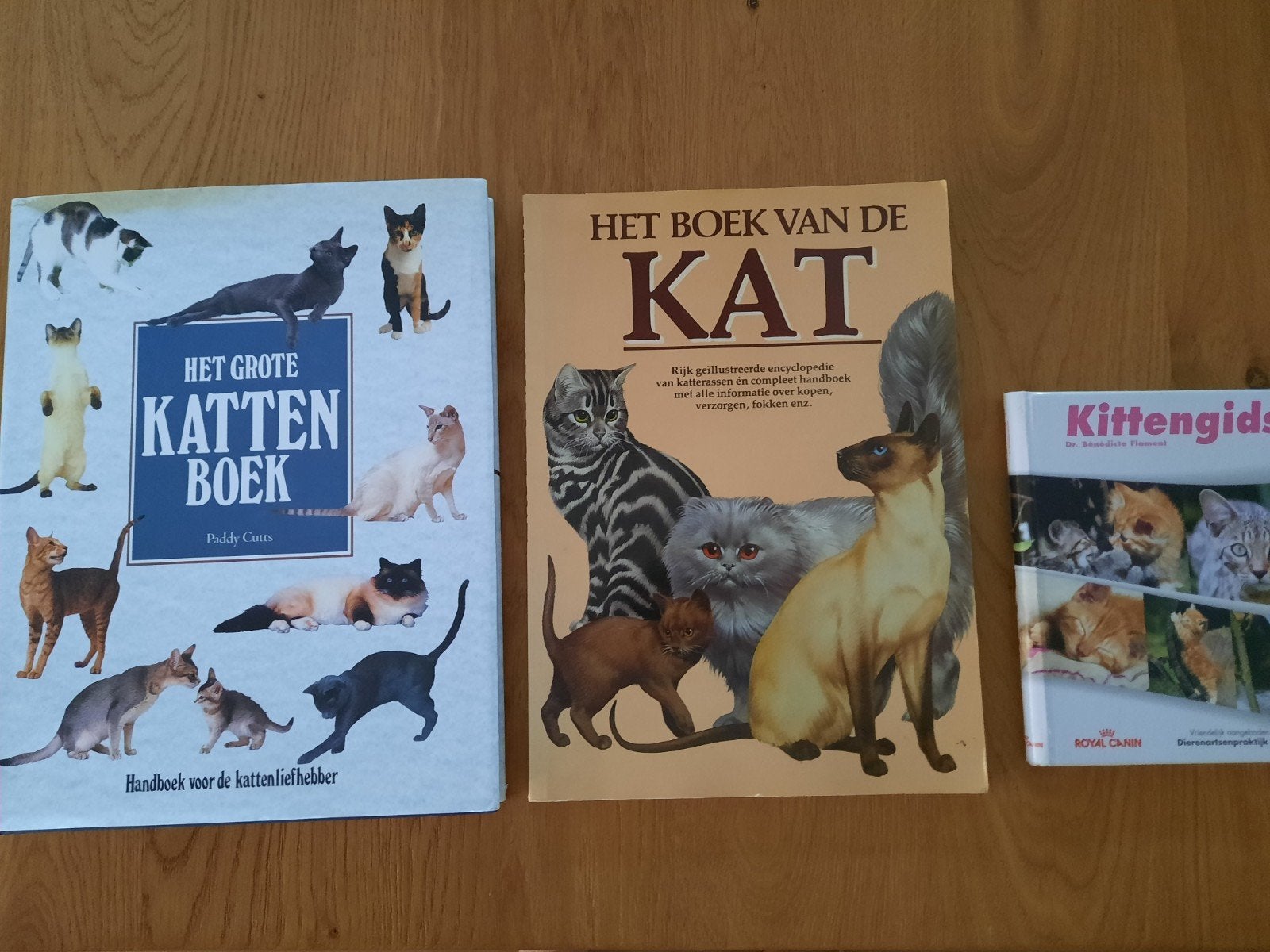 3x Deskundige gids over KATTEN totaalprijs, Boeken, Dieren en Huisdieren, Ophalen of Verzenden, Zo goed als nieuw, Katten