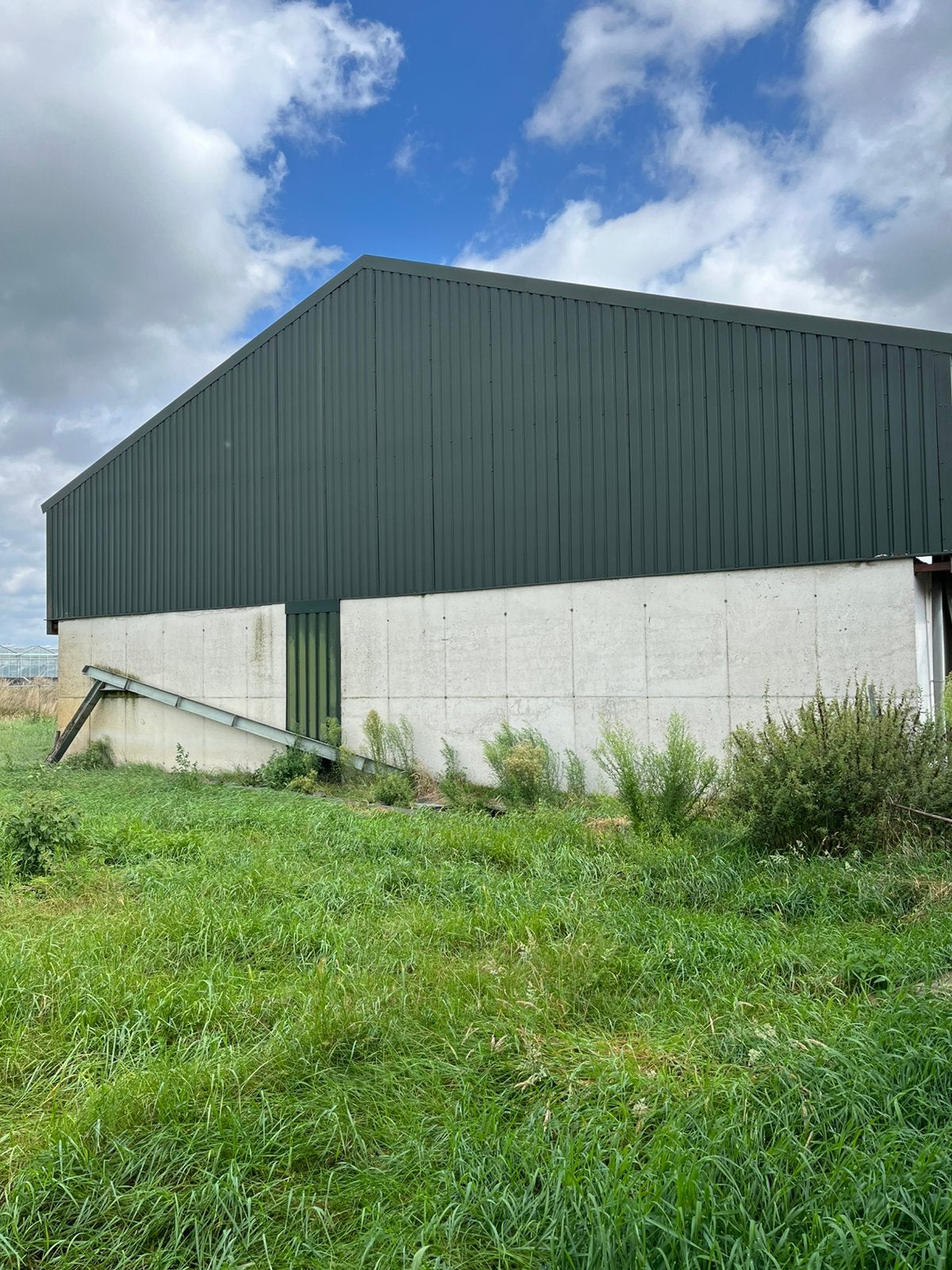 Damwand bekleding, Ophalen of Verzenden, Metaal, 15 m² of meer, Dakplaat of Dakpanplaat