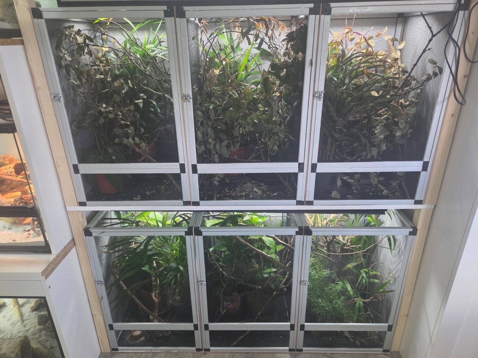 Aluminium gazen terrariums (3 of 6 stuks), Dieren en Toebehoren, Reptielen en Amfibieën | Toebehoren, Ophalen, Zo goed als nieuw