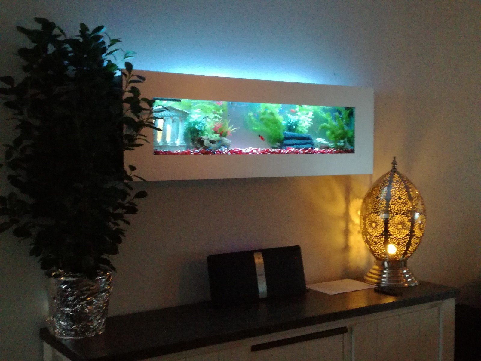 Aquarium, Ophalen, Leeg aquarium