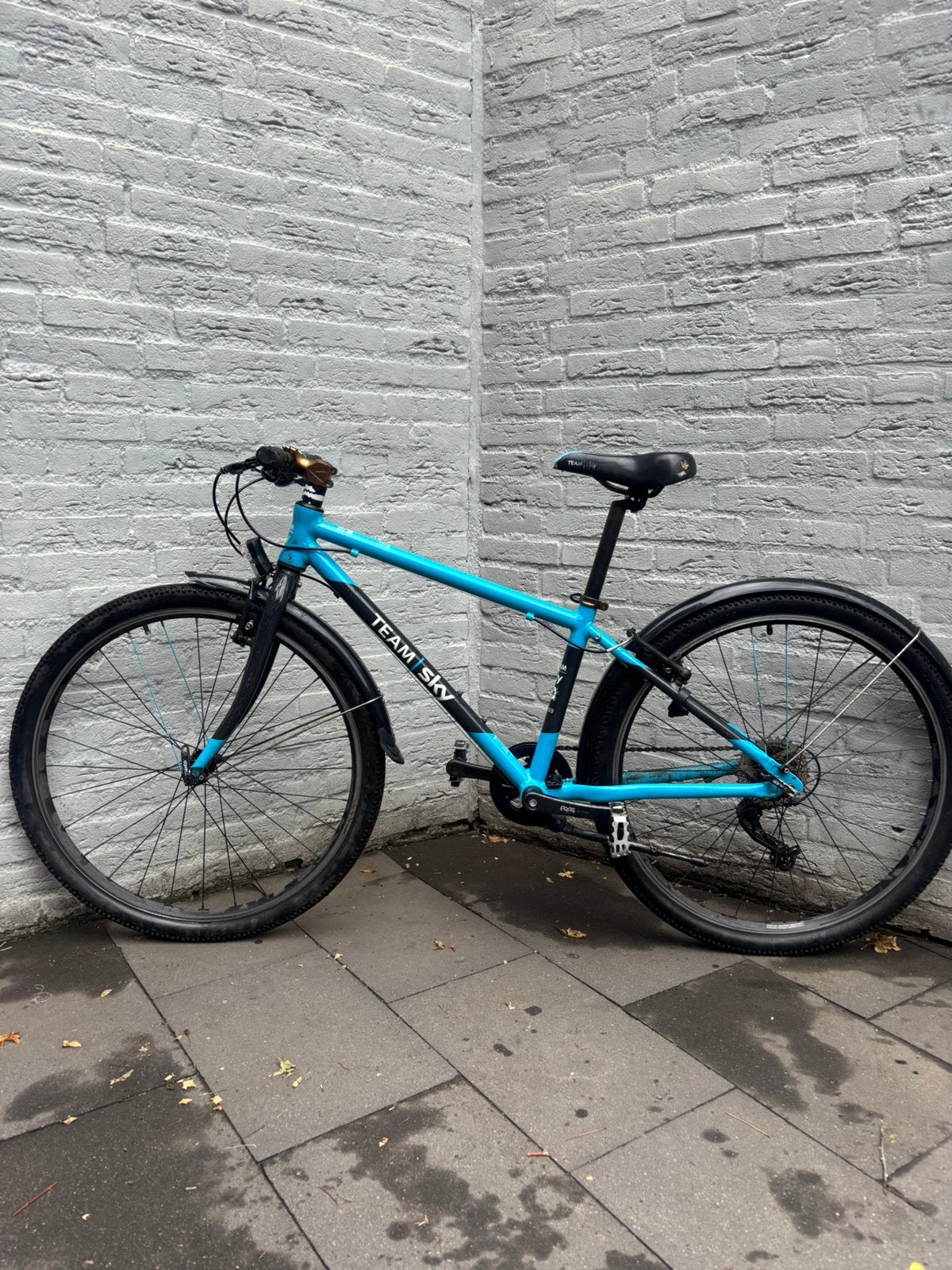 Team sky kinderfiets, Minder dan 45 cm, Ophalen, Zo goed als nieuw, Overige merken