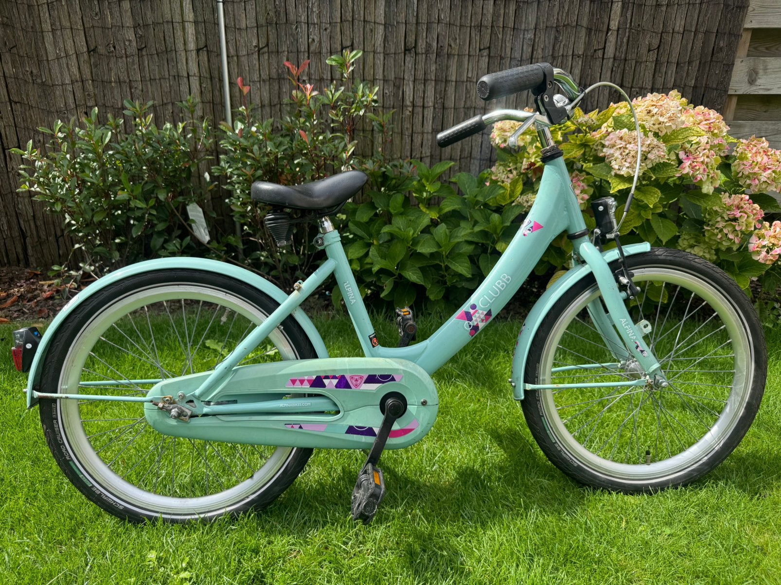 Kinderfiets, meisjesfiets, Alpina Clubb, 20 inch, groen, Ophalen, Zo goed als nieuw, 20 inch