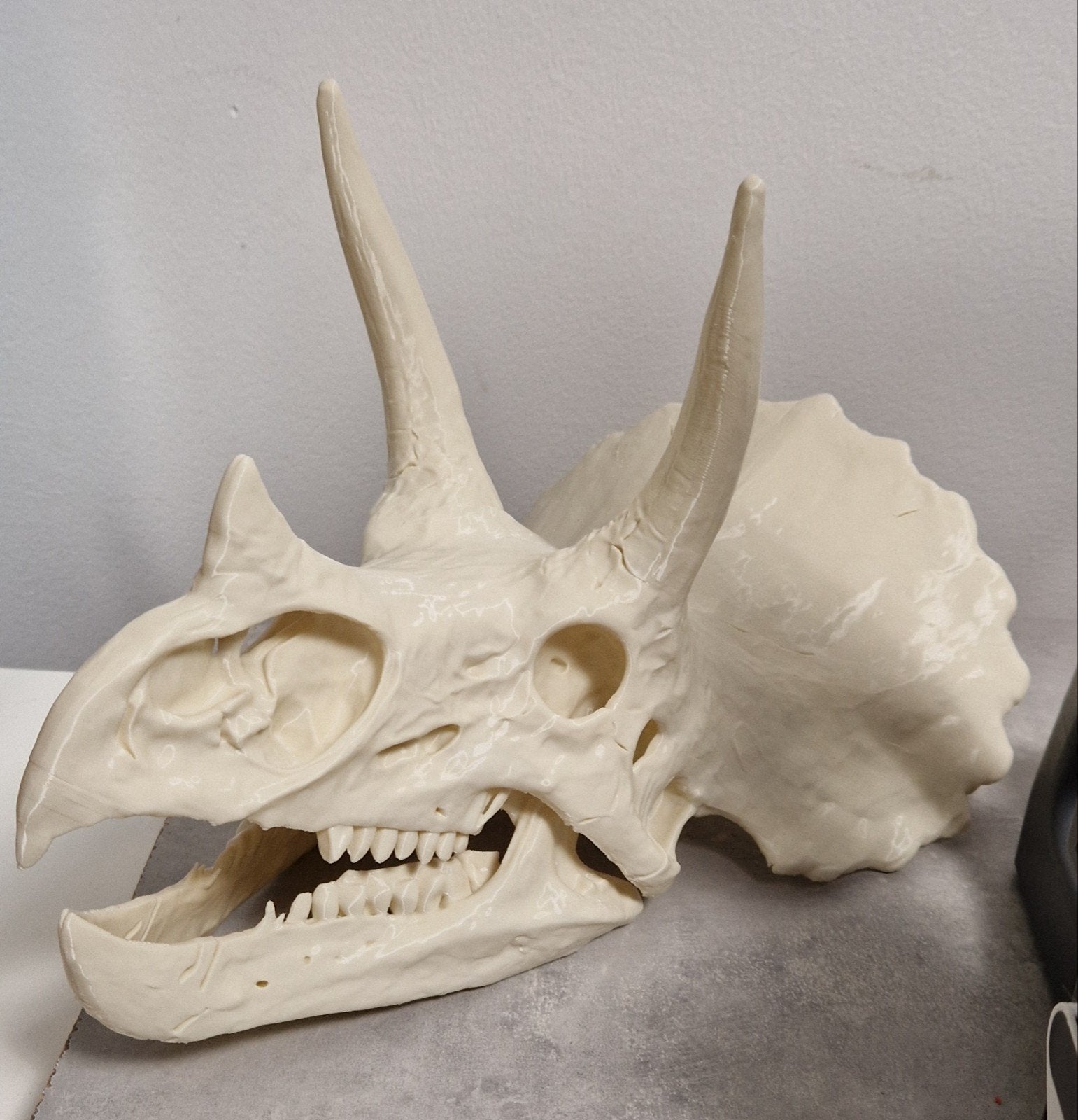 Grote 3D Geprinte Dinosaurus Schedel - Triceratops, Verzamelen, Verzenden