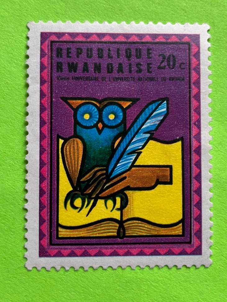 Uil, Ophalen of Verzenden, Dier of Natuur