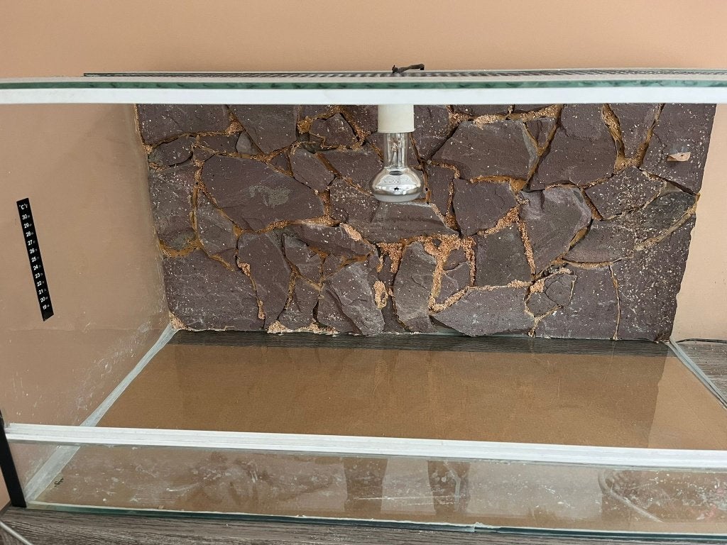 Terrarium 81 x 41 x 41 cm + toebehoren, Ophalen, Gebruikt, Terrarium of Paludarium