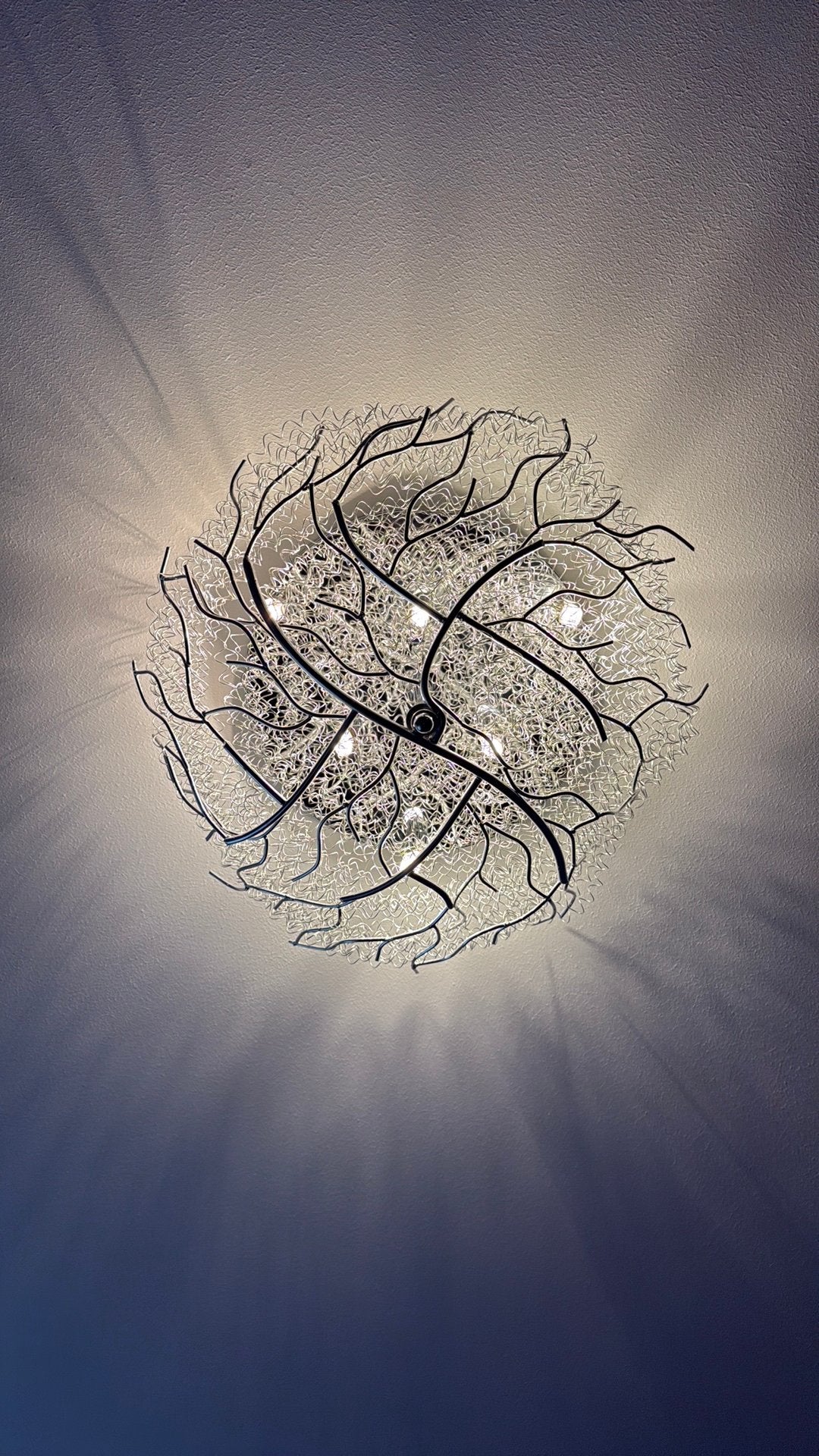 Plafond lamp, Antiek en Kunst, Antiek | Lampen, Ophalen