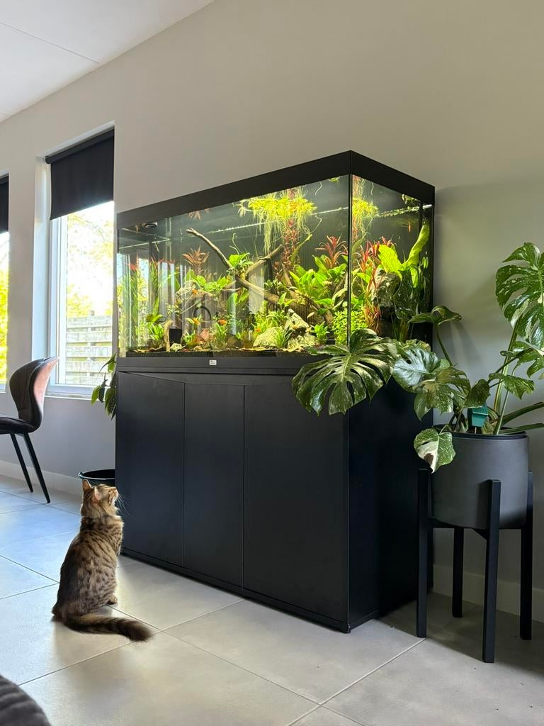 Aquarium schoonmaak service!, Dieren en Toebehoren, Ophalen of Verzenden, Zo goed als nieuw, Plant(en), Steen of Hout