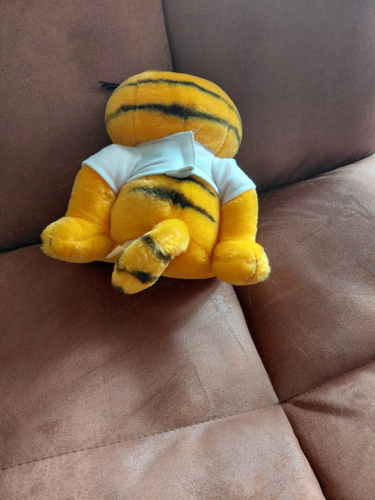 Orginele garfield uit 1978, Ophalen of Verzenden, Gebruikt