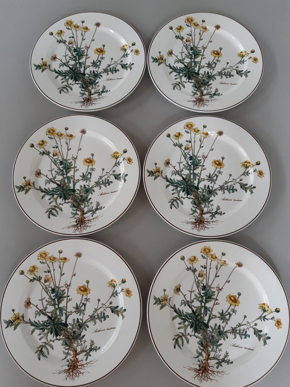 Dinerborden 27 cm Villeroy en Boch Botanica, Huis en Inrichting, Keuken | Servies, Gebruikt, Ophalen of Verzenden, Bord(en), Overige stijlen