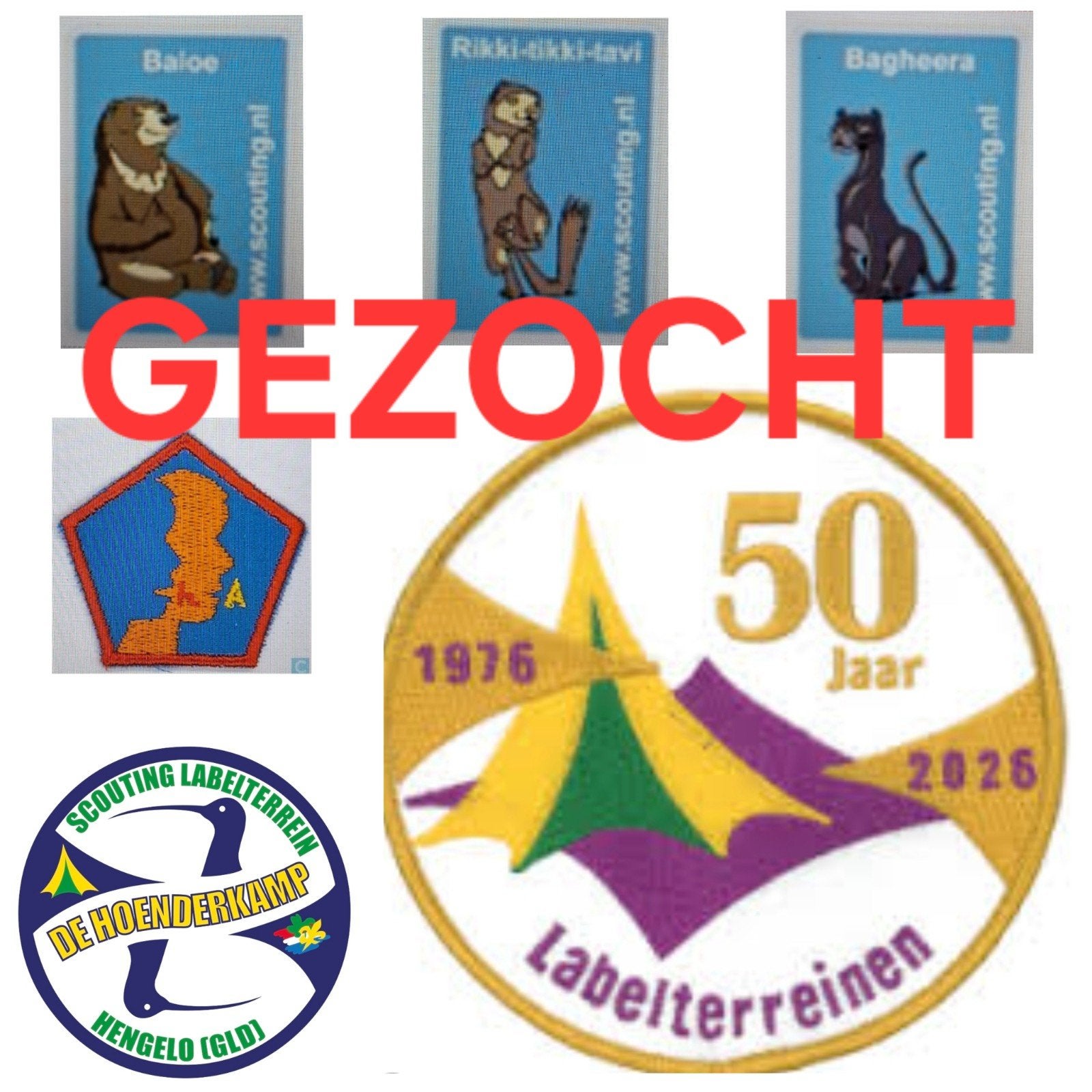 Scouting insignes, Verzamelen, Scouting, Ophalen of Verzenden, Embleem, Speld of Insigne