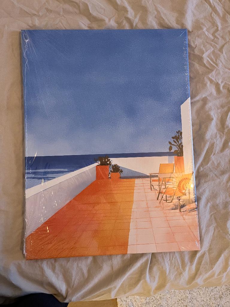 Canvas schilderij terras, Ophalen, Zo goed als nieuw, Minder dan 50 cm, Schilderij