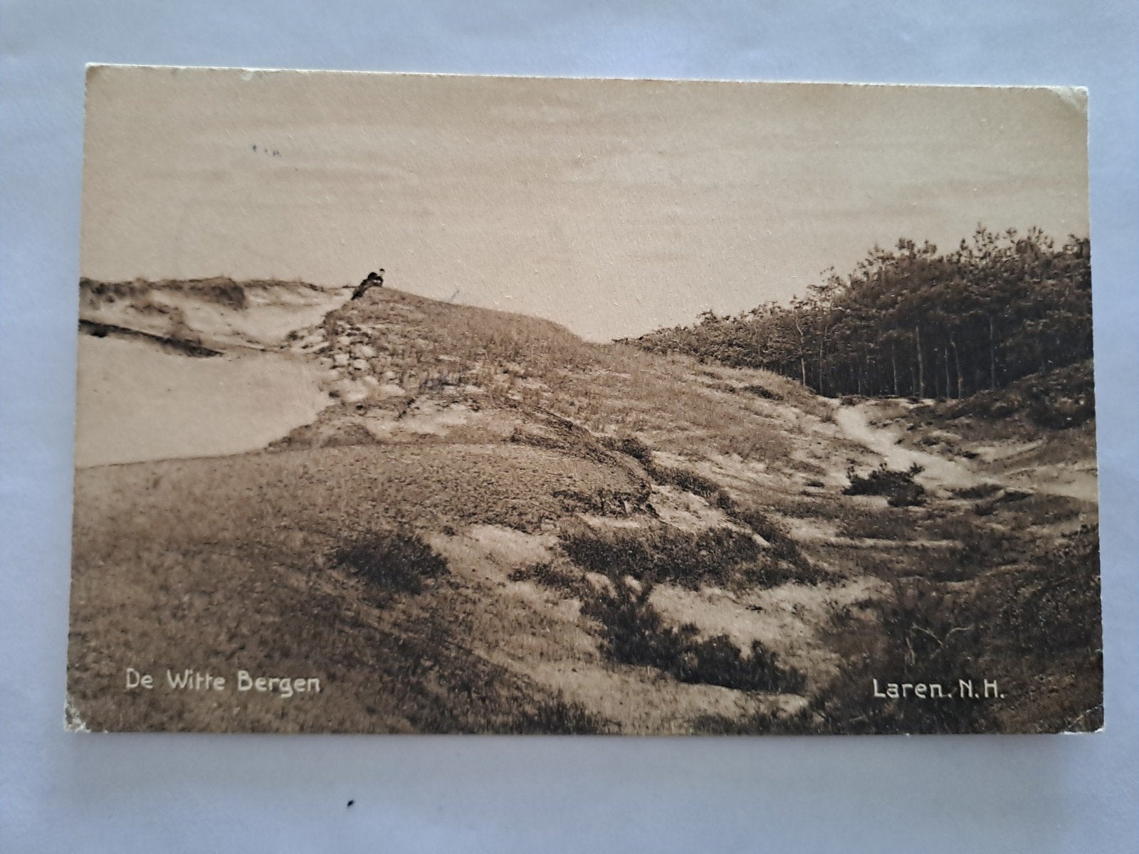 laren gelopen, Verzamelen, Ophalen of Verzenden, 1940 tot 1960, Noord-Holland