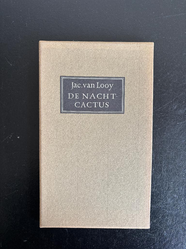 Jac van Looy - De nachtcactus - De Roos - Gerrit Noordzij, Gelezen, Jac van Looy, Ophalen of Verzenden, Nederland