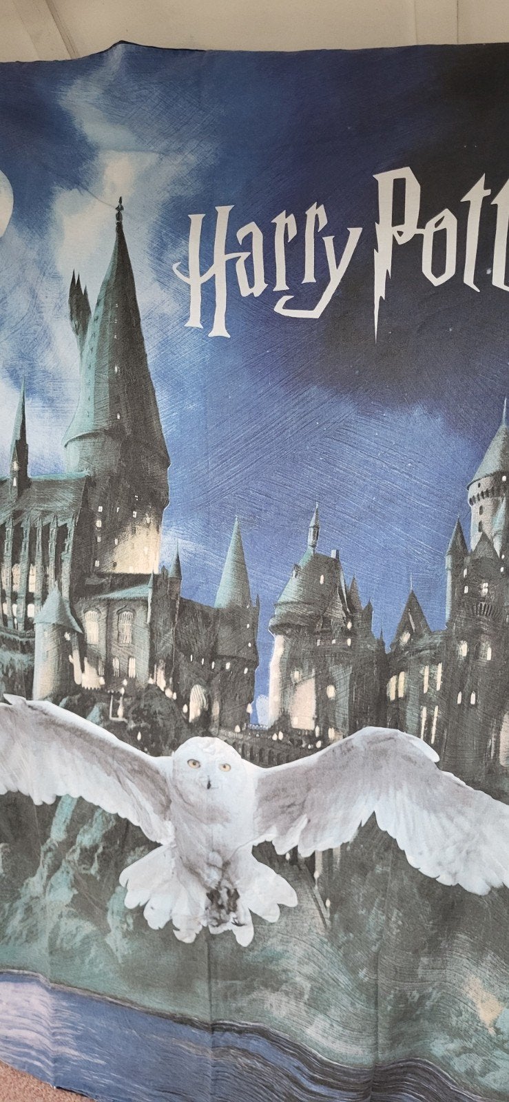 Harry Potter dekbedovertrek met kussensloop (140x200 cm), Gebruikt, Dekbedovertrek, Ophalen of Verzenden, Jongetje of Meisje