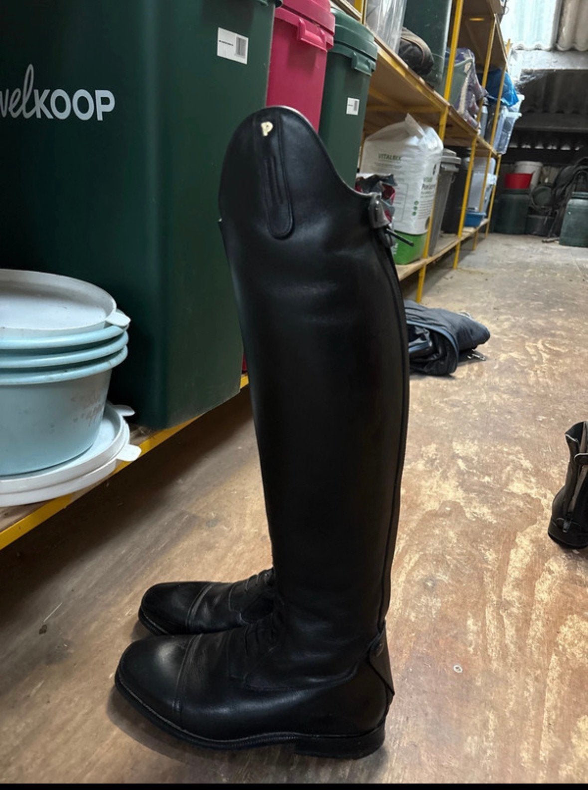 Petrie dressuurlaarzen, Ophalen of Verzenden, Zo goed als nieuw, Dressuur, Schoeisel