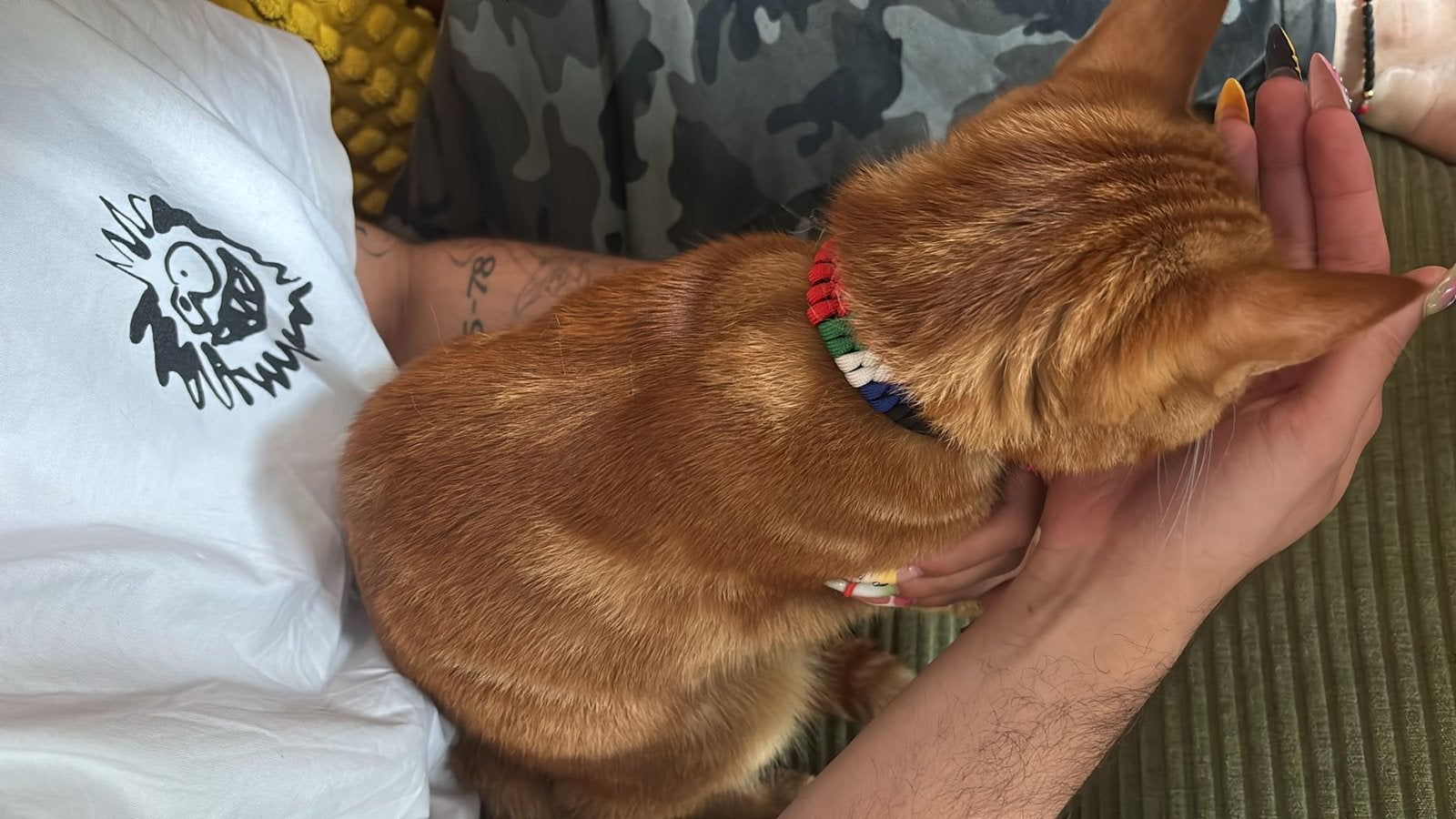 Maluku kattenhalsband, Dieren en Toebehoren, Ophalen of Verzenden, Nieuw
