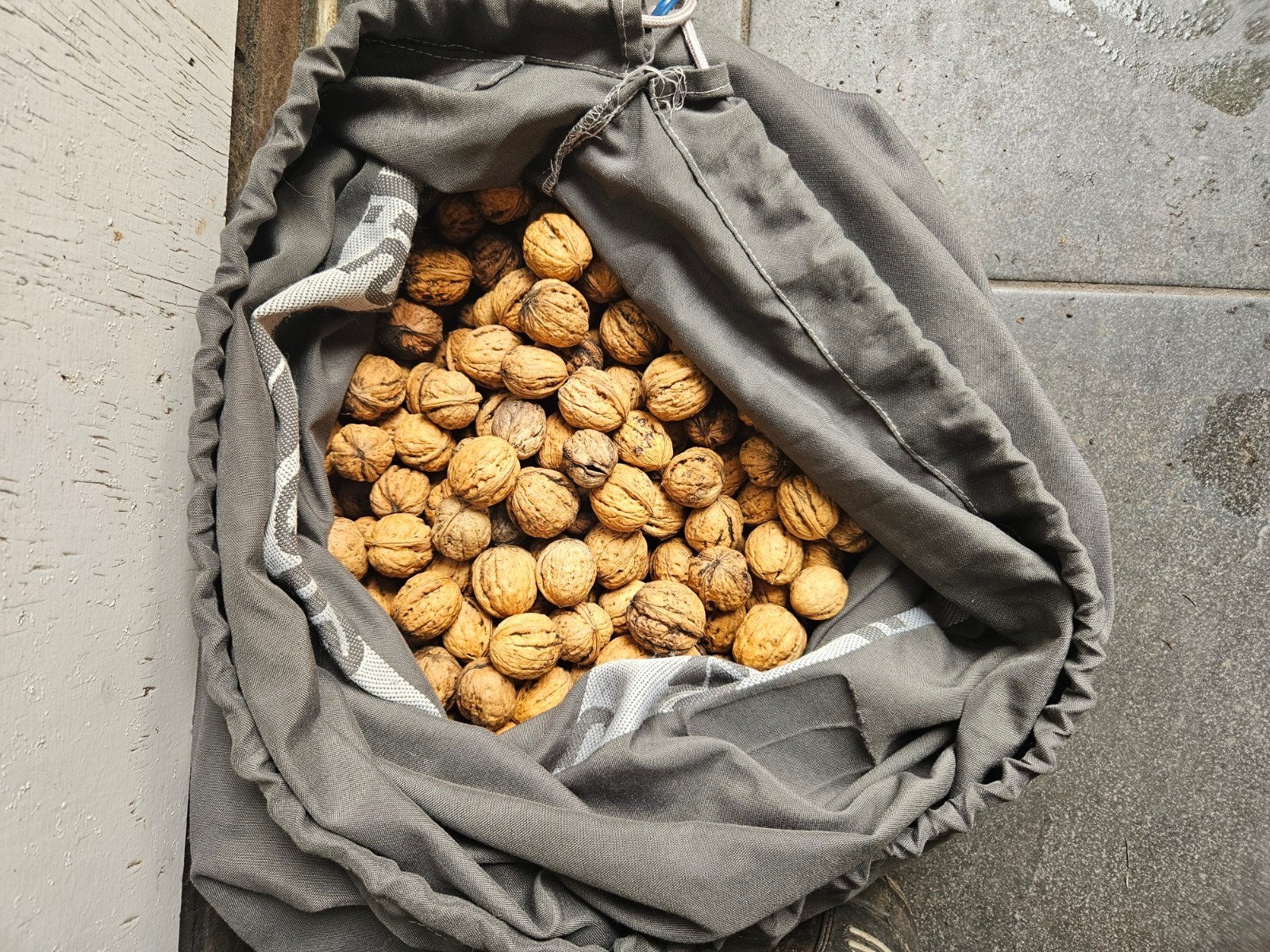 Grote walnoten in dop €3,50 per kg, Ophalen of Verzenden