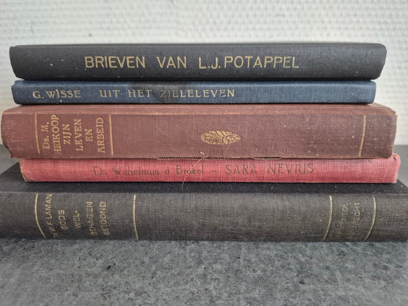 Theologie Ds Heikoop, Laman, Wisse , Potappel  Sara Nevius, Ophalen of Verzenden, Zo goed als nieuw