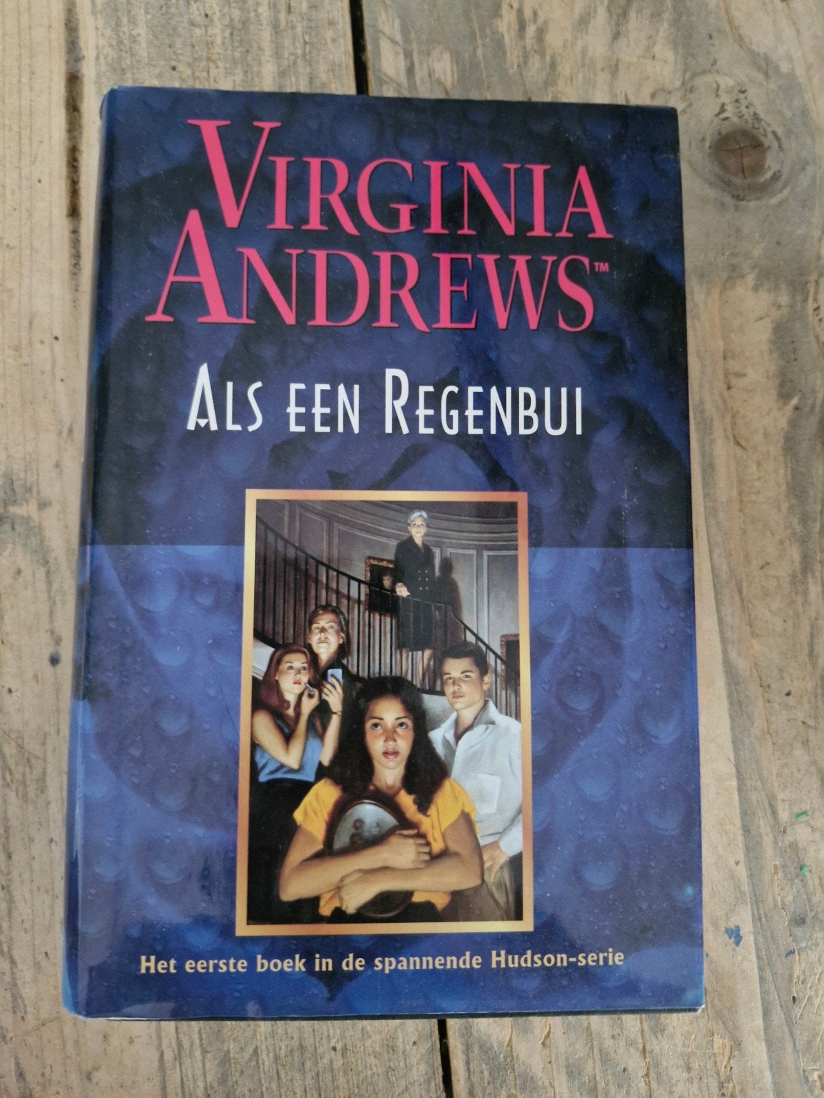 Virginia Andrews Hudson-serie: 4 boeken, Ophalen of Verzenden, Gelezen, Virginia Andrews, Nederland