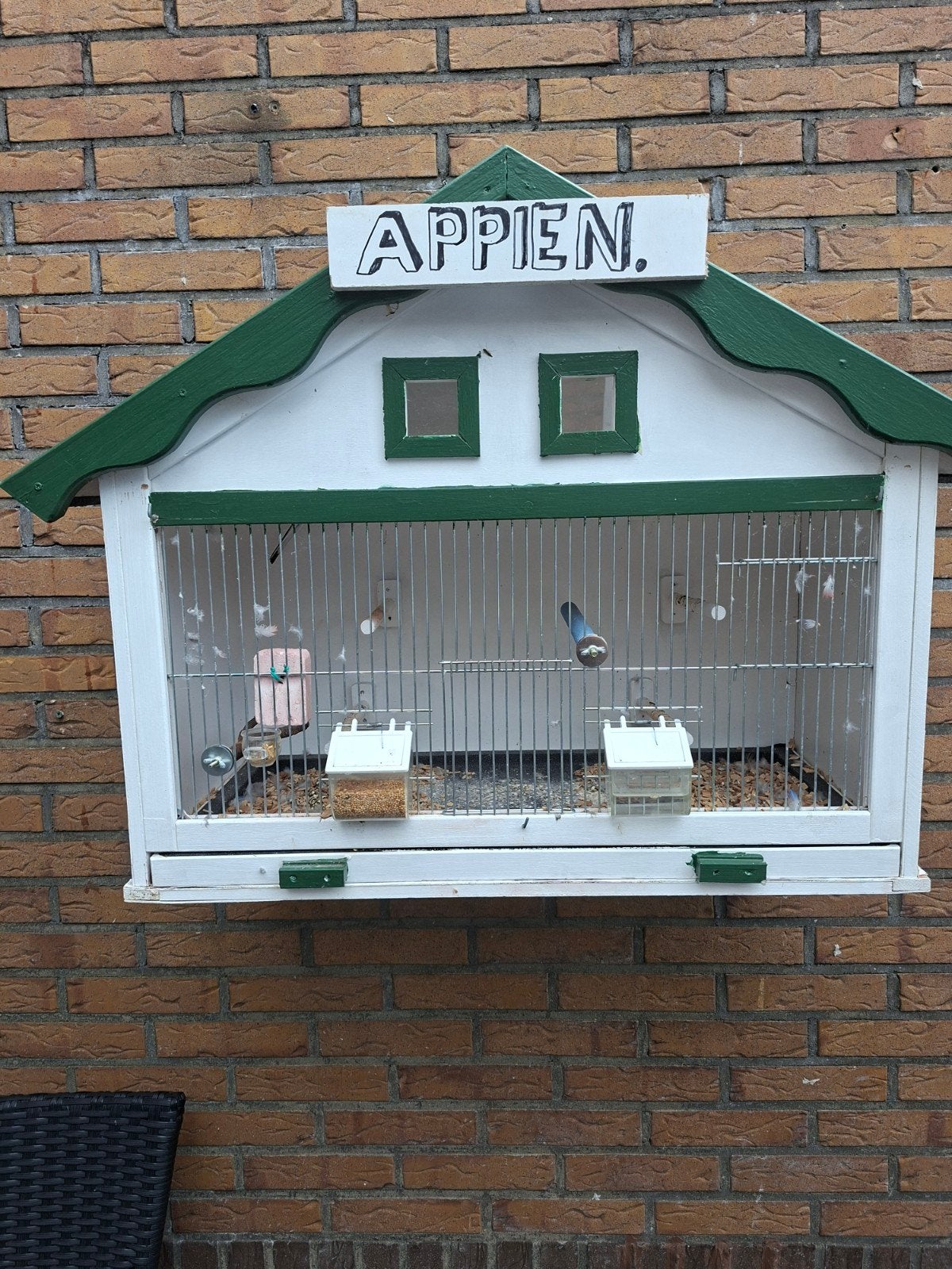 bourkesparkiet incl kooi, Ophalen, Gebruikt, Hout, Vogelkooi