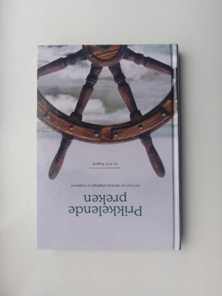 Prikkelende preken - ds. K.H. Bogerd, K.H. Bogerd, Christendom | Protestants, Ophalen of Verzenden, Zo goed als nieuw