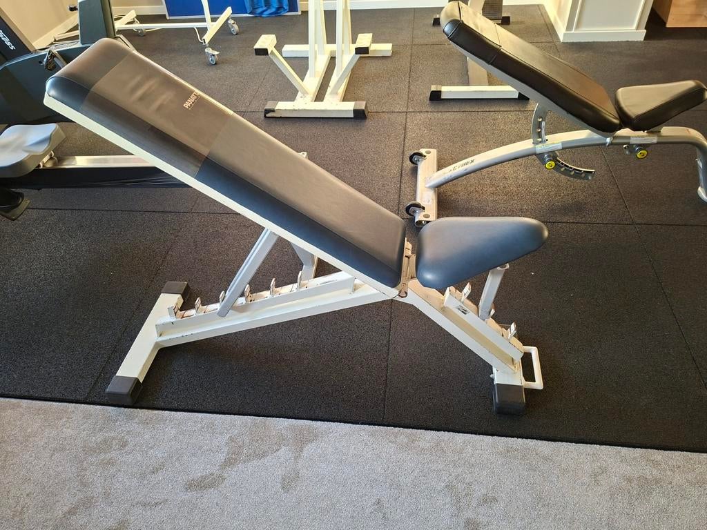 Fitnessbank / halterbank, Sport en Fitness, Ophalen, Gebruikt, Fitnessbank