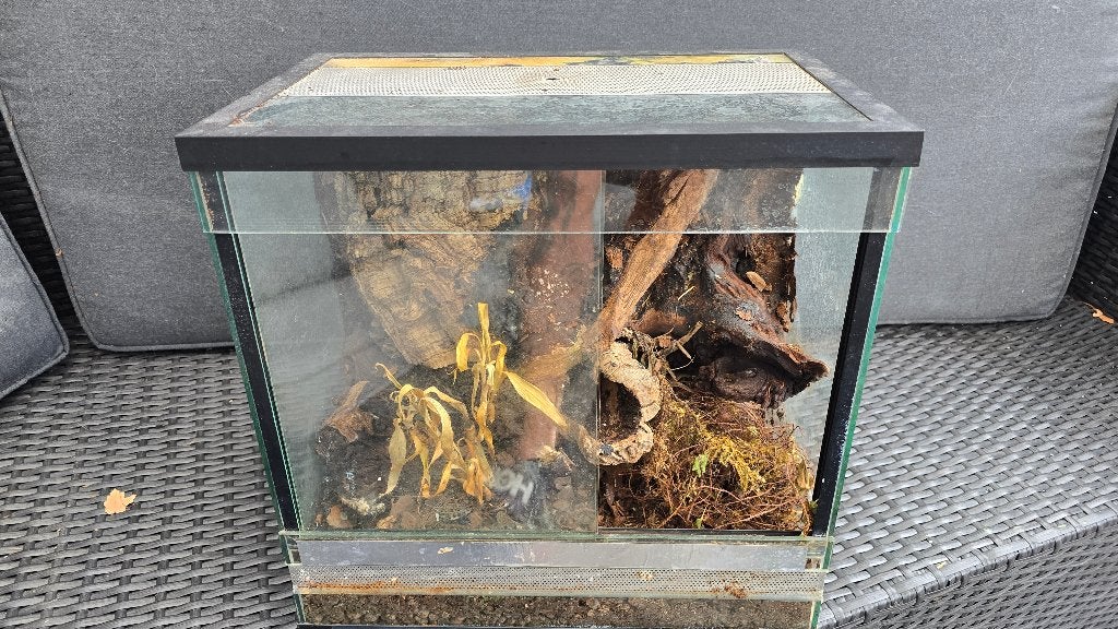 Gratis terrarium, Ophalen