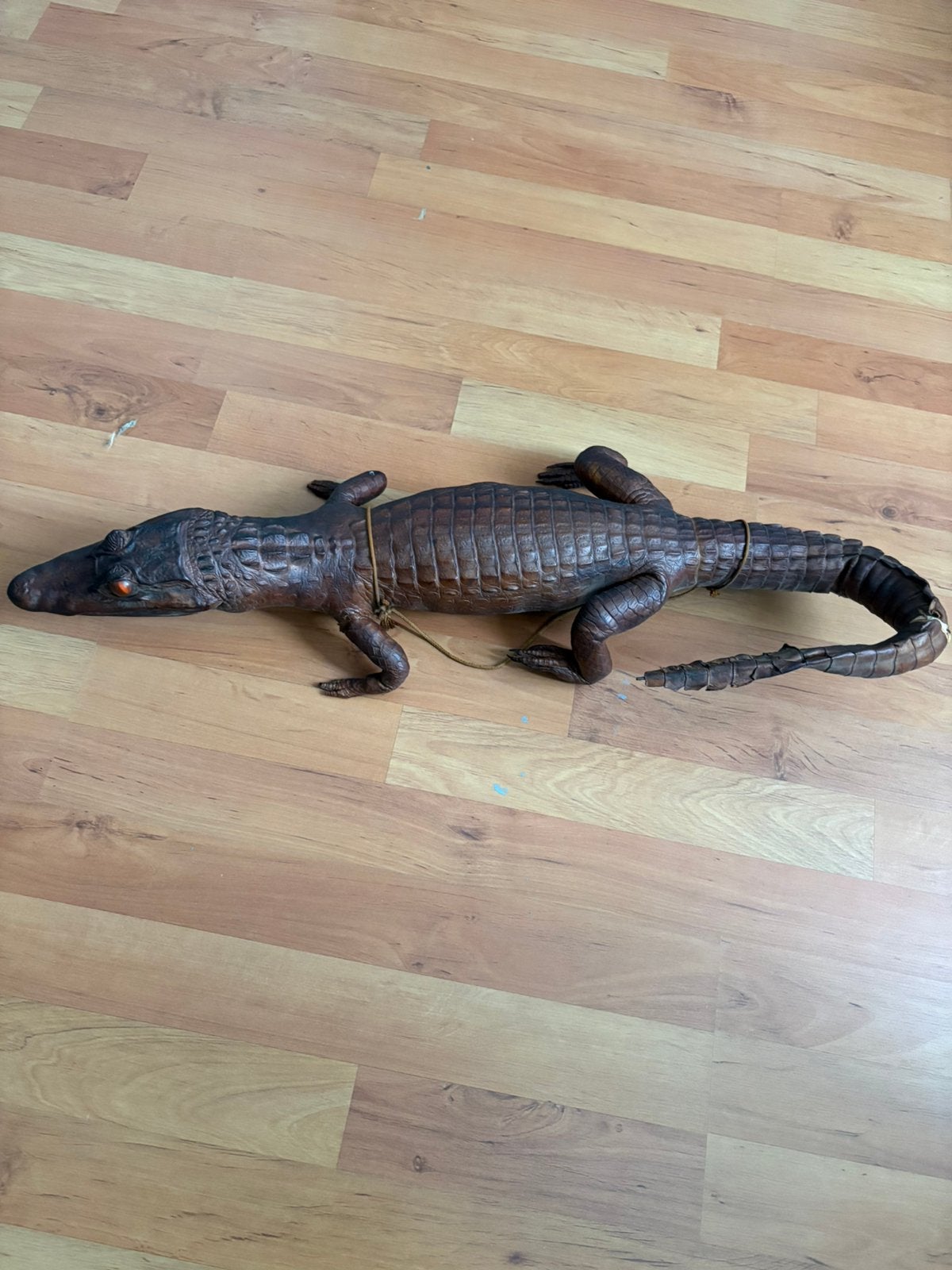 Kaaiman uit de jaren 60 afmeting zie foto, Ophalen, Zo goed als nieuw, Reptiel of Amfibie, Opgezet dier