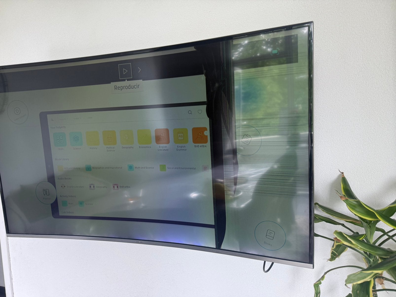 TV met schermschade - werkt verder, Audio, Tv en Foto, Televisies, Ophalen, Gebruikt