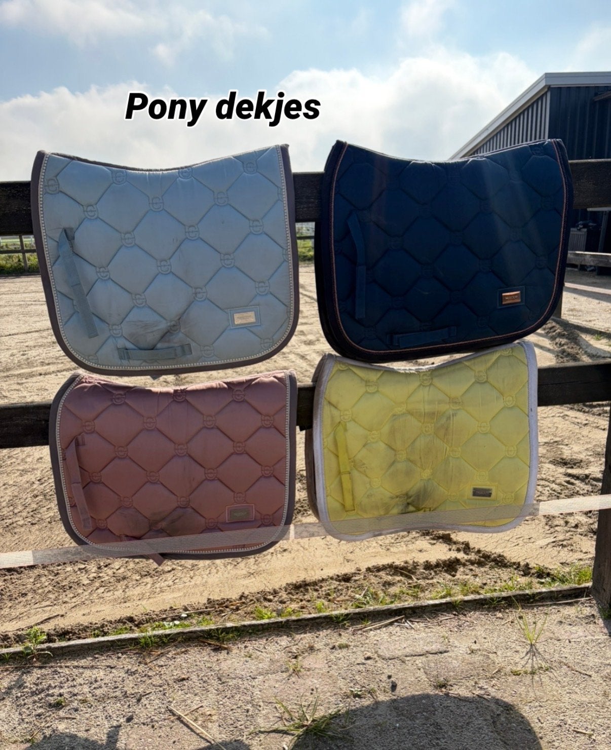 Pony en shetlander; dekjes, oornetjes, beenbeschermers, Ophalen of Verzenden, Zo goed als nieuw