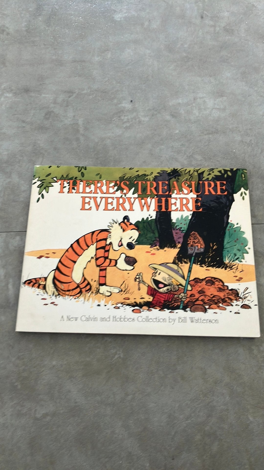 Calvin and Hobbes-There’s treasure everywhere, Eén stripboek, Ophalen of Verzenden, Zo goed als nieuw